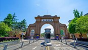 赛博球体手机版下载官方网站入口说明